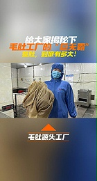 给大家揭秘一下毛肚工厂的“巨无霸"-整肚